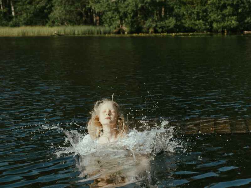 Fish in the&nbsp;Water